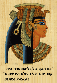 ניתוחי אף אסתטיים